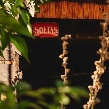 Skansen Bicz 度假村 Stare Miasto (Konin)